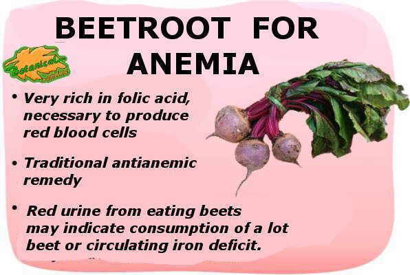 properties of beet for anemia or lack of iron