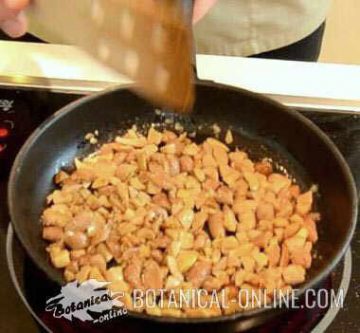 Roasted acorns