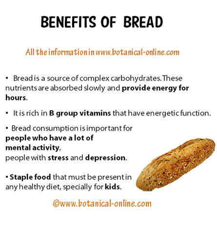 Benefits of bread