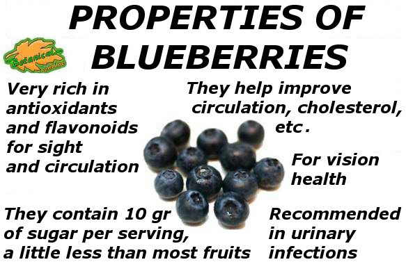 main properties of blueberries