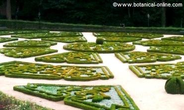 Boxwood garden