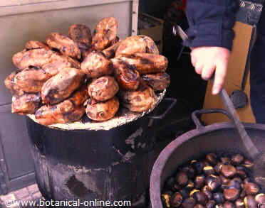 Roasted sweet potatoes and chestnuts