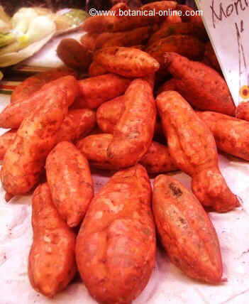 Sweet potatoes