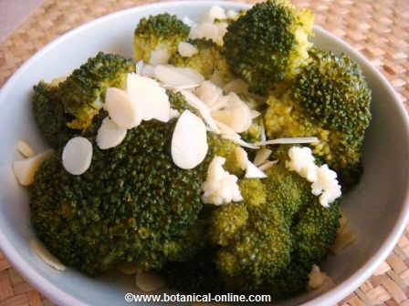 steamed broccoli