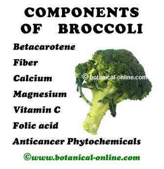 Medicinal components of broccoli