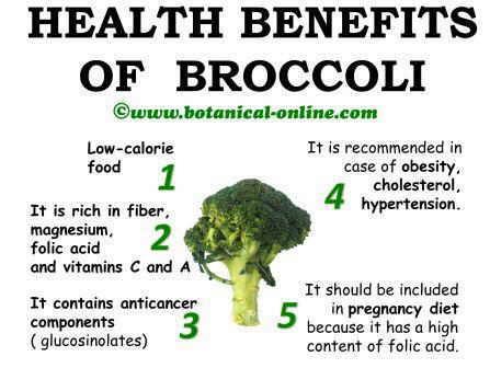 Medicinal properties of broccoli health benefits