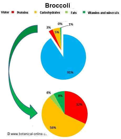 brocoli composition