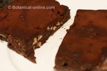 Brownie with cocoa and nuts