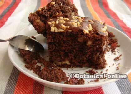 Brownie chocolate cake with goji berries