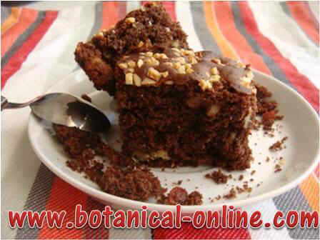 Photo of brownie with goji berries