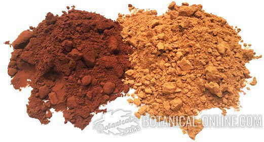 Cacao powder (left) and carob powder (right)