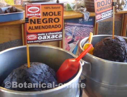 Photo of mole in a market in Oaxaca, Mexico