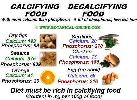 theory of decalcifying foods