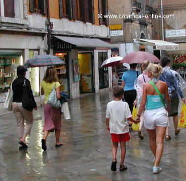 walking in the street