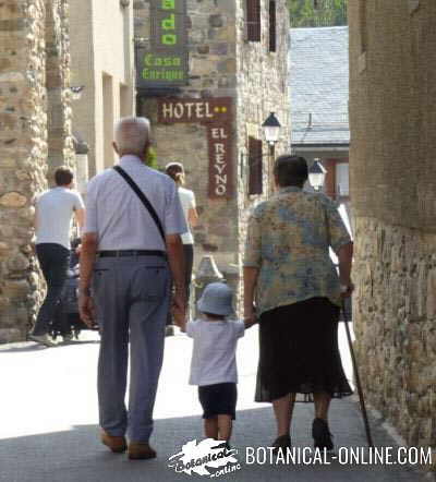 old people walking in the street with their grandson