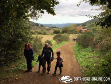 Family walking in the countryside