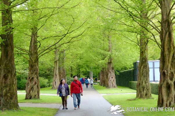 two people walking in the park