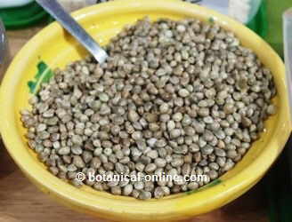 Photo of hemp seeds