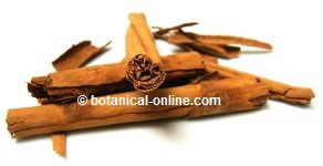 Cinnamon for digestive tonics