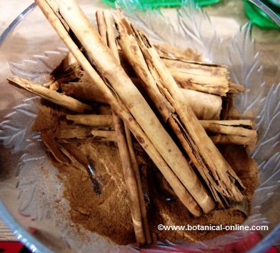 Cinnamon sticks 