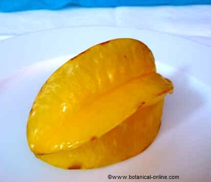 photo of carambola or star fruit