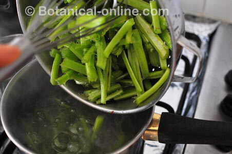 boiled thistles