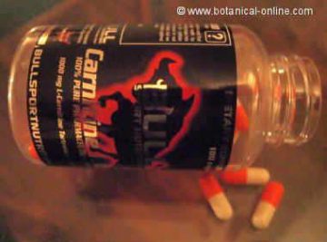 Carnitine supplements