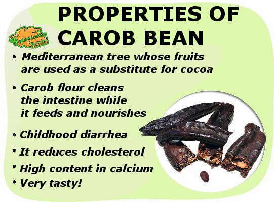 medicinal properties of carob flour
