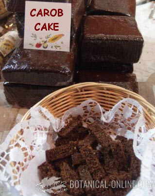 sponge cake with carob flour