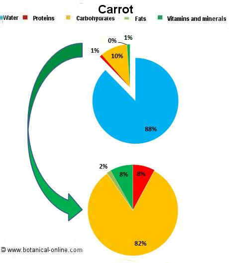 Carrots composition