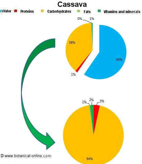 Cassava composition