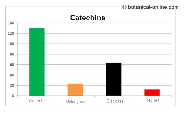 catechins in different tea types