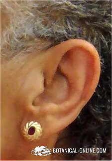 earwax