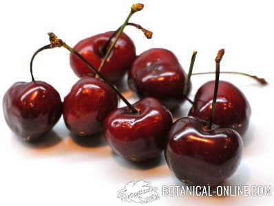 cherries