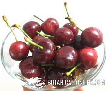 Cherry stalks