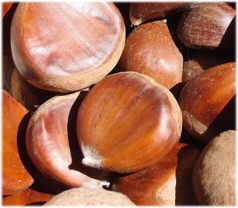 Chesnuts