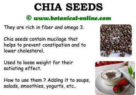 chia seeds benefits