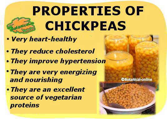 Main properties and benefits of chickpeas
