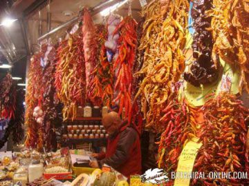 chili spices market