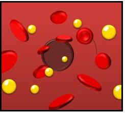 Cholesterol image