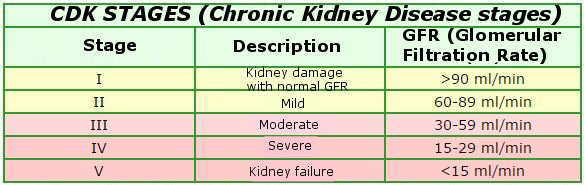 Classification of kidney failure