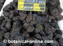 Photo of prunes