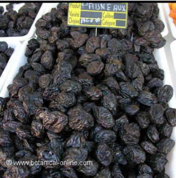 Photo of prunes in a market stall