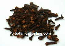 Clove for malaria