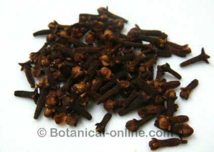 Dry clove