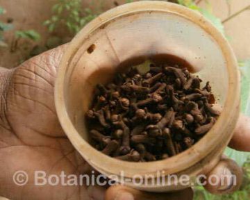  some dry cloves in a Skri Lanca market