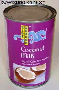 coconut milk tin