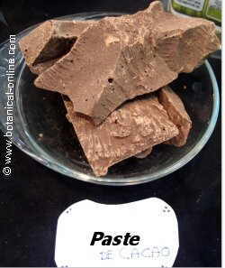 Cocoa paste