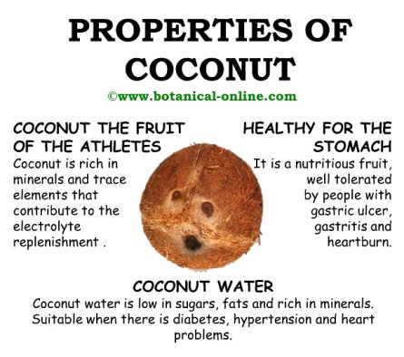 Coconut properties