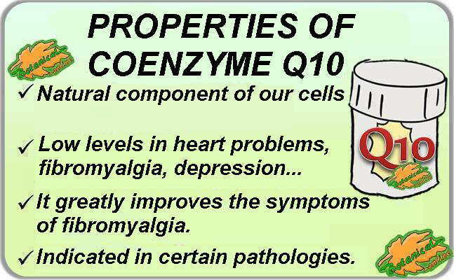 coenzyme Q10 properties